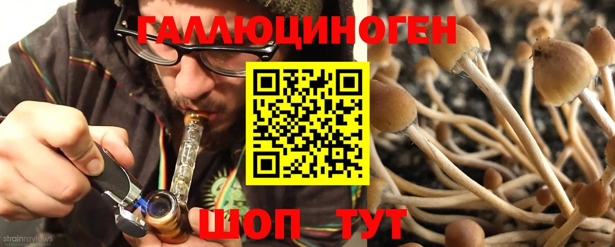 Галлюциногенные грибы Magic Shrooms Северобайкальск